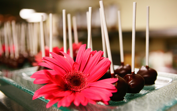 Chocolate Cheesecake Lollipops